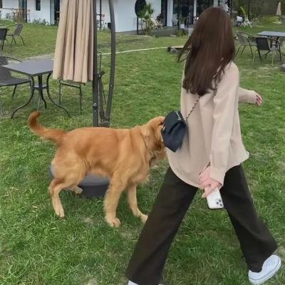 超时空护卫队第一季